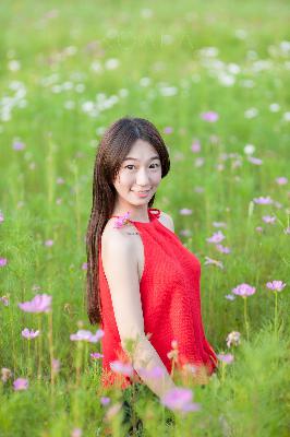国产少女免费观看高清电视剧大全